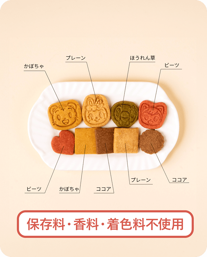かぼちゃ・プレーン・ほうれん草・ビーツ・ココア味のバラエティクッキー（保存料・香料・着色料不使用）