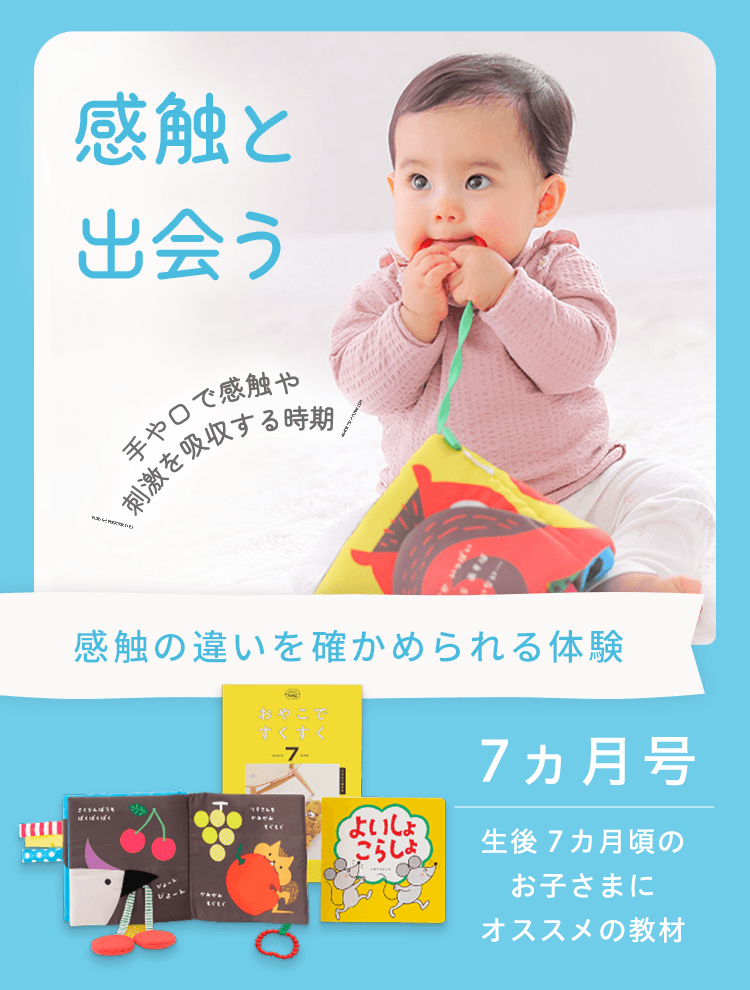 7ヵ月前後のお子さまへ｜0歳からの知育 こどもちゃれんじbaby