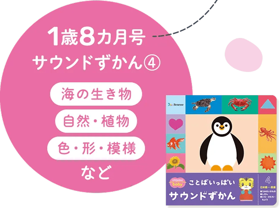 1歳8ヵ月号 海の生き物 自然・植物 色・形・模様 など