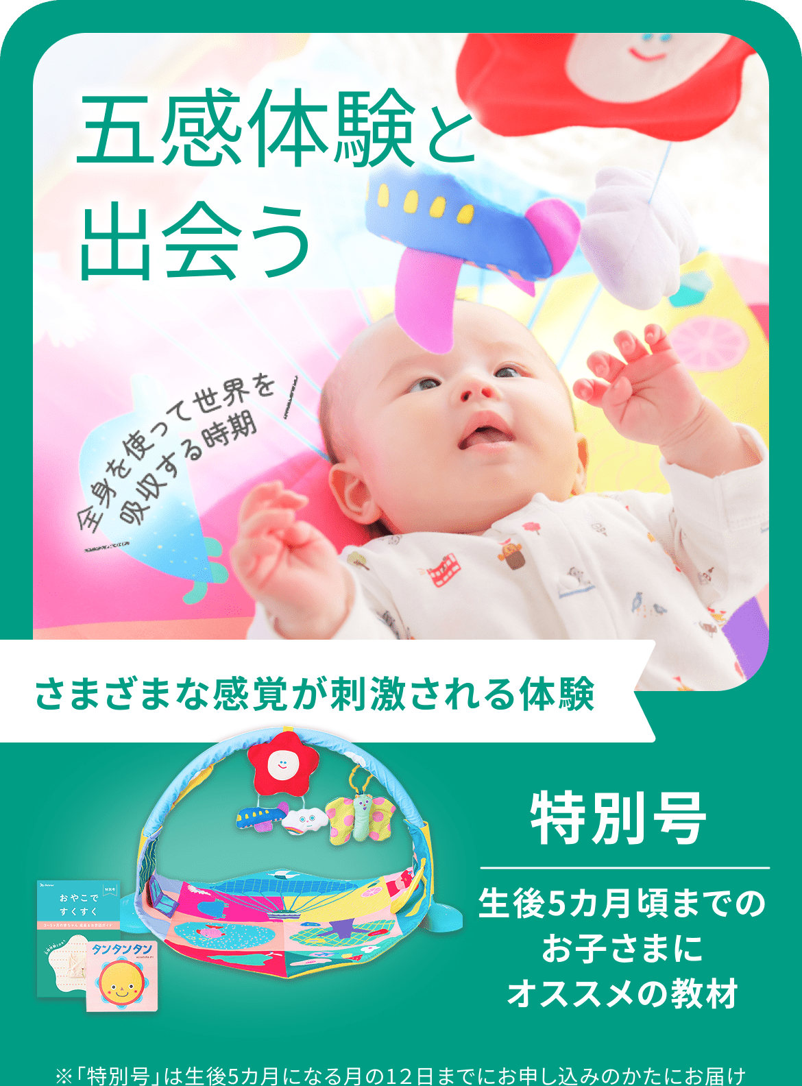 五感体験と出会う 全身を使って世界を吸収する時期 様々な感覚が刺激される体験 特別号 生後5か月ごろまでのお子さまにおすすめの教材 ※「特別号」は生後5ヵ月になる月野12日までにお申し込みの方にお届け