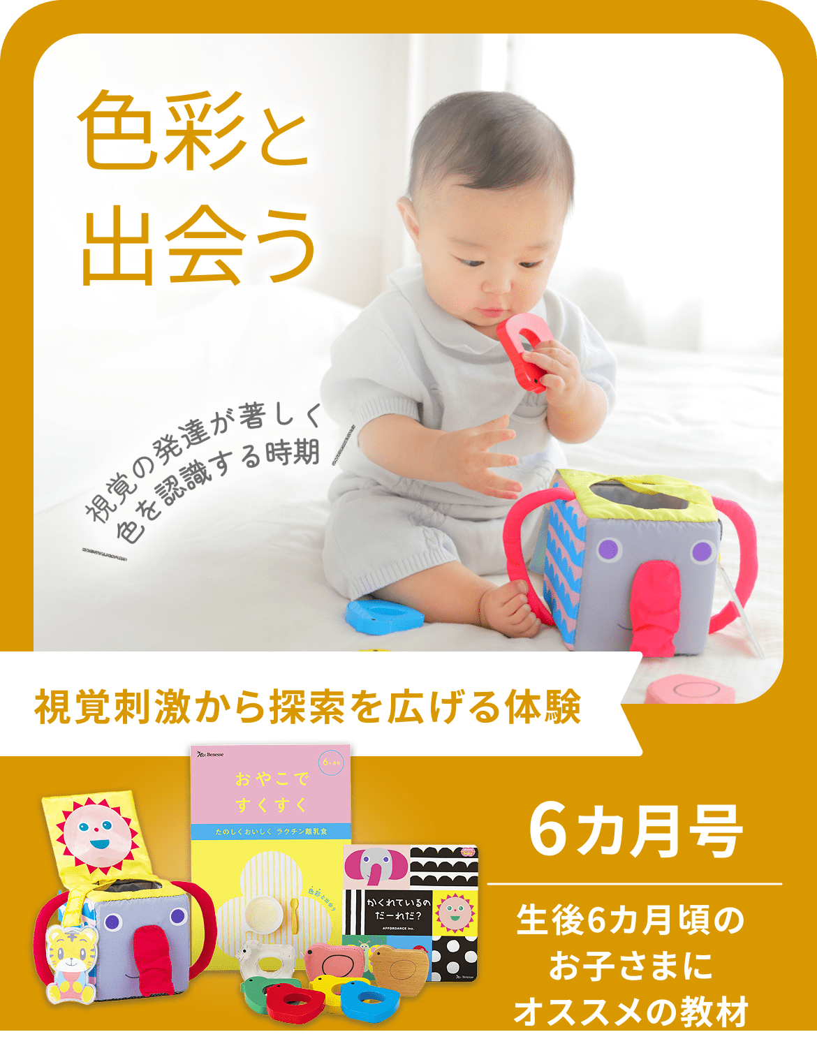色彩と出会う 資格の発達が著しく色を認識する時期 視覚刺激から探索を広げる体験 6ヵ月号 生後6ヵ月頃のお子さまにオススメの教材