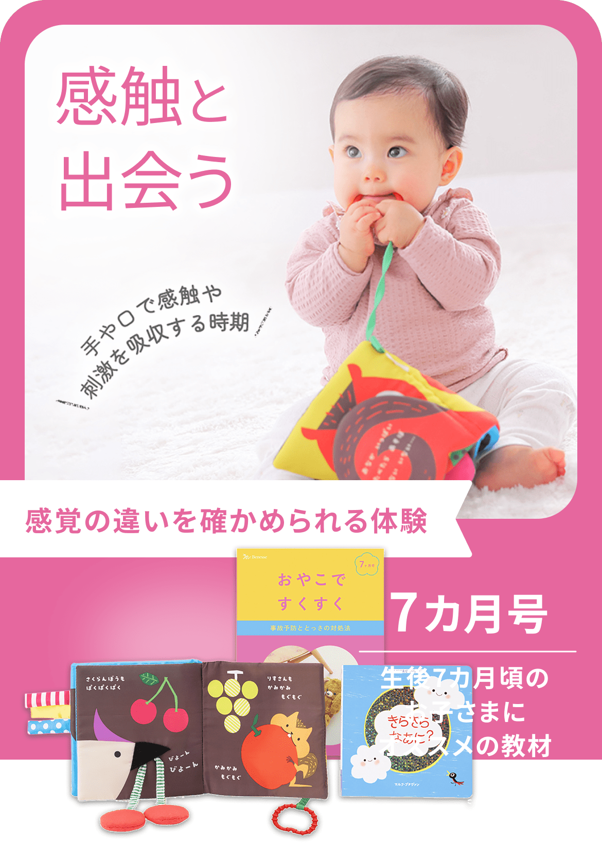 感触と出会う 手や口で感触や刺激を吸収する時期 感覚の違いを確かめられる体験 7カ月号 生後7カ月頃のお子さまにオススメの教材