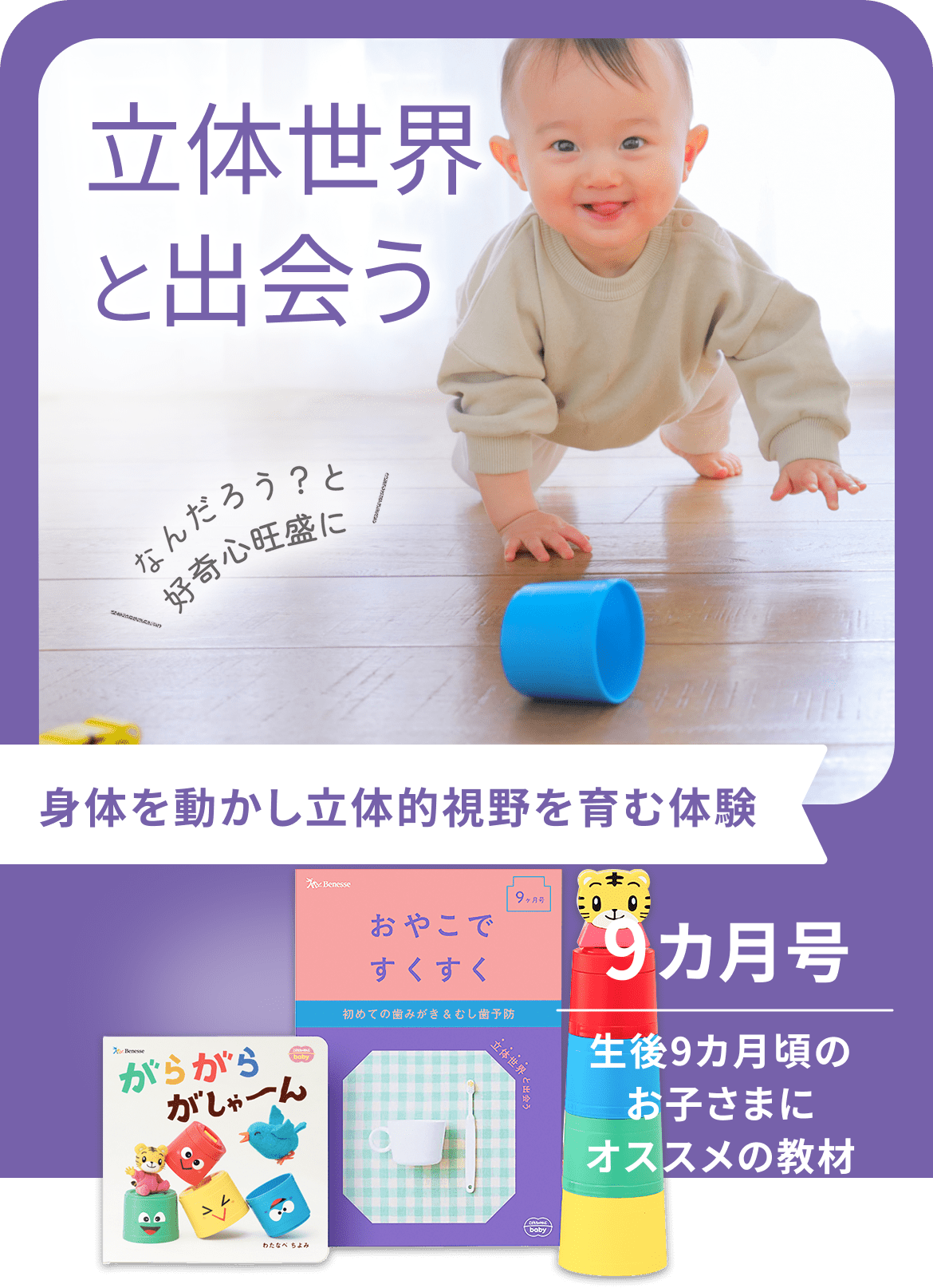 立体世界と出会う なんだろう？と好奇心旺盛に 体を動かし立体的視野を育む体験 9ヵ月 生後9ヵ月頃のお子さまにオススメの教材