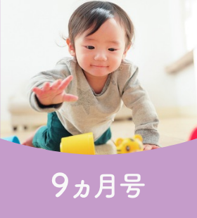 教材ラインナップ｜0歳からの知育 こどもちゃれんじbaby