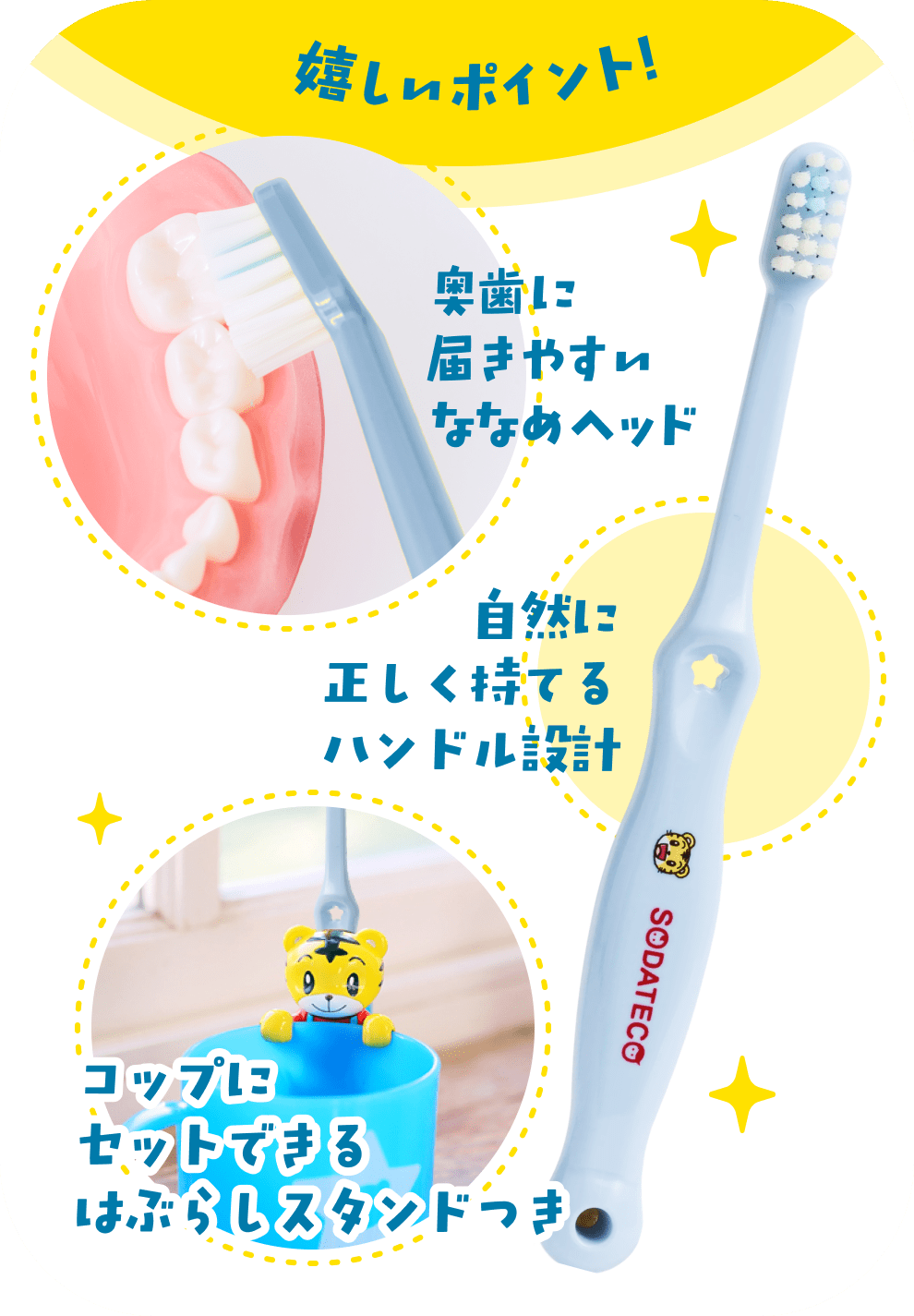 嬉しいポイント！ 奥歯に届きやすいななめヘッド 自然に正しく持てるハンドル設計 コップにセットできるはぶらしスタンドつき