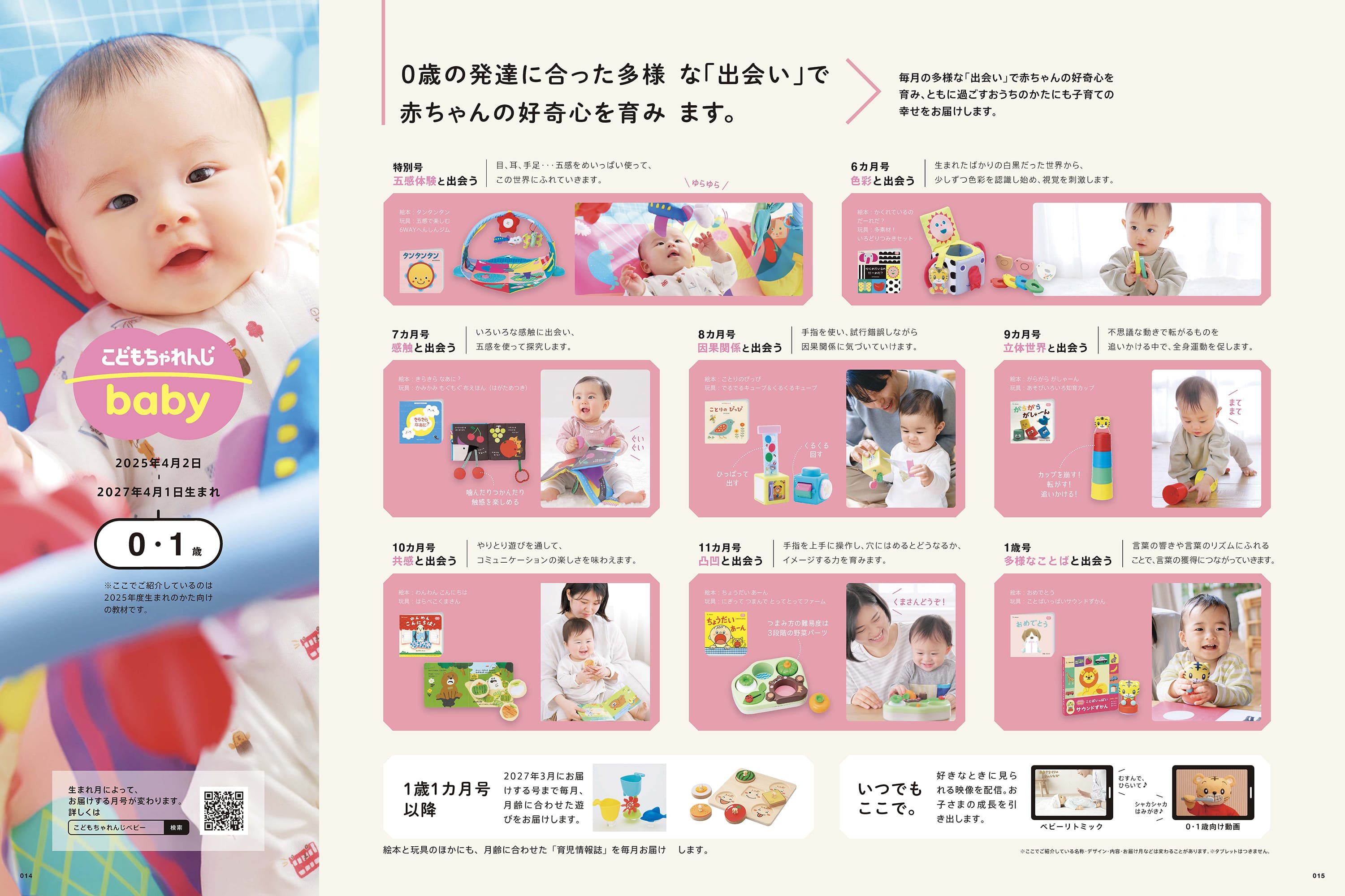 表：年間ラインナップ