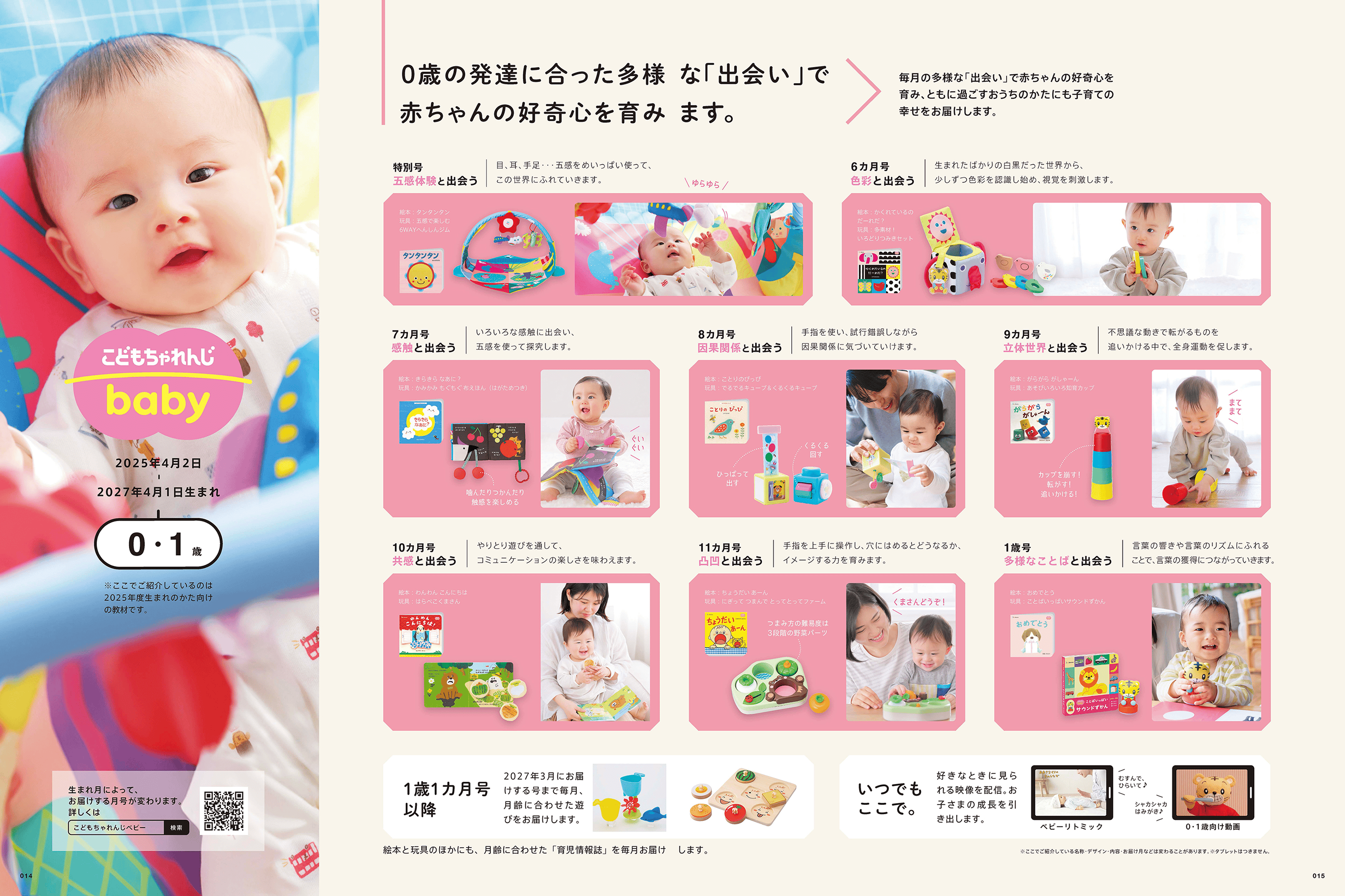 表:年間ラインナップ
