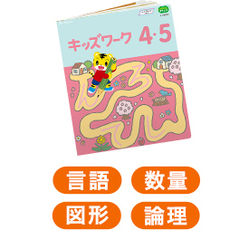 言語、数量、図形、論理