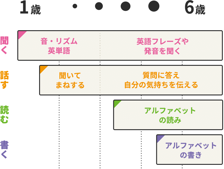 年齢に合わせた4技能カリキュラムの図