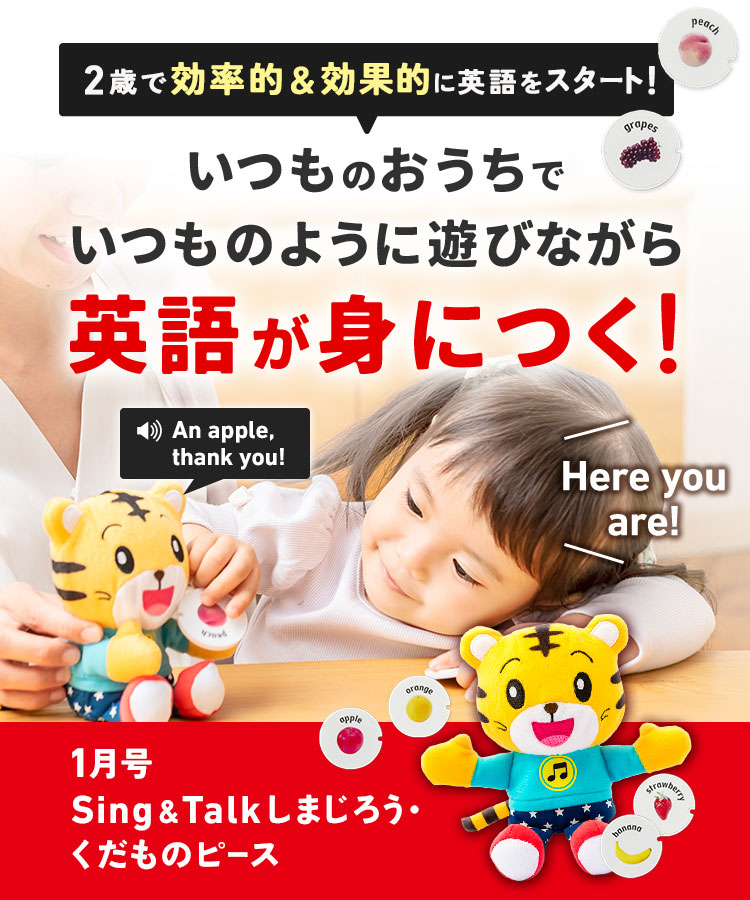 こどもちゃれんじ ぷち ぷちファースト １歳～２歳 16ヶ月分準備号