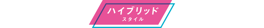 ハイブリッド スタイル