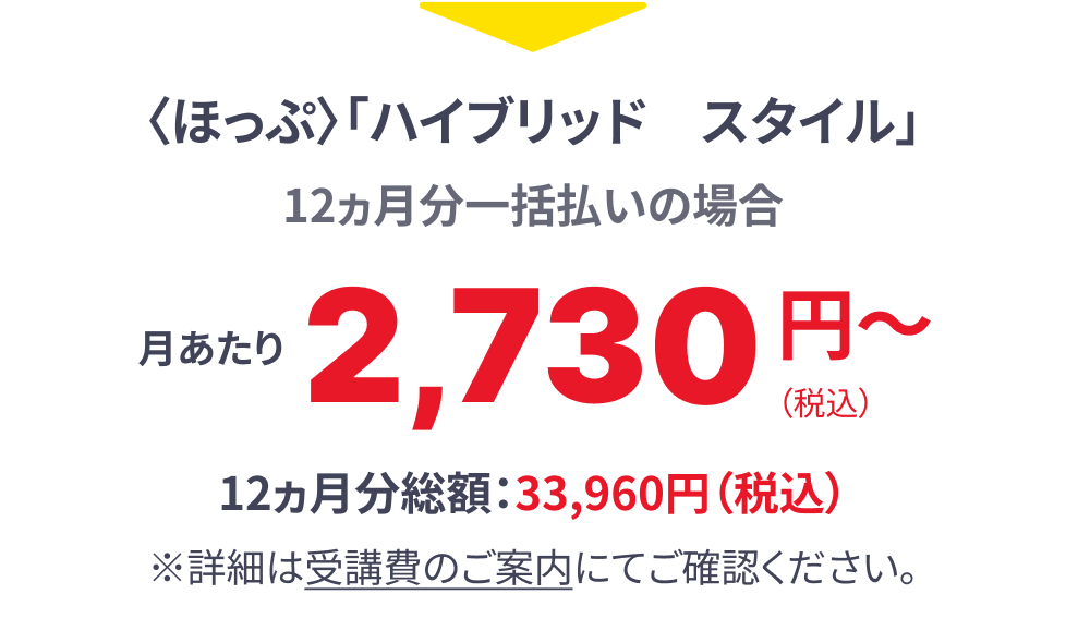 ポケット 一括払いの場合