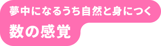 夢中になるうち自然と身につく 数の感覚