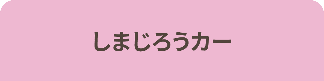 しまじろうカー