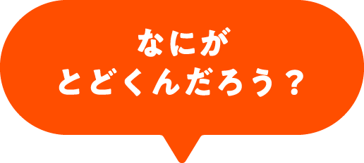 何が届くんだろう?