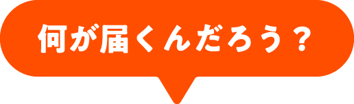 何が届くんだろう?