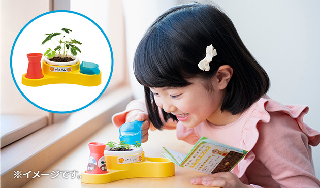 きみだけの　おじぎそう　おせわセット