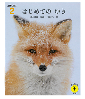 年間でお届けする教材