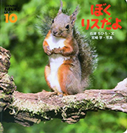 年間でお届けする教材