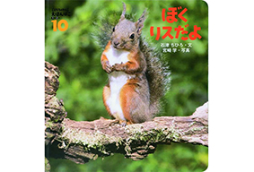 年間でお届けする教材