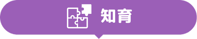 知育