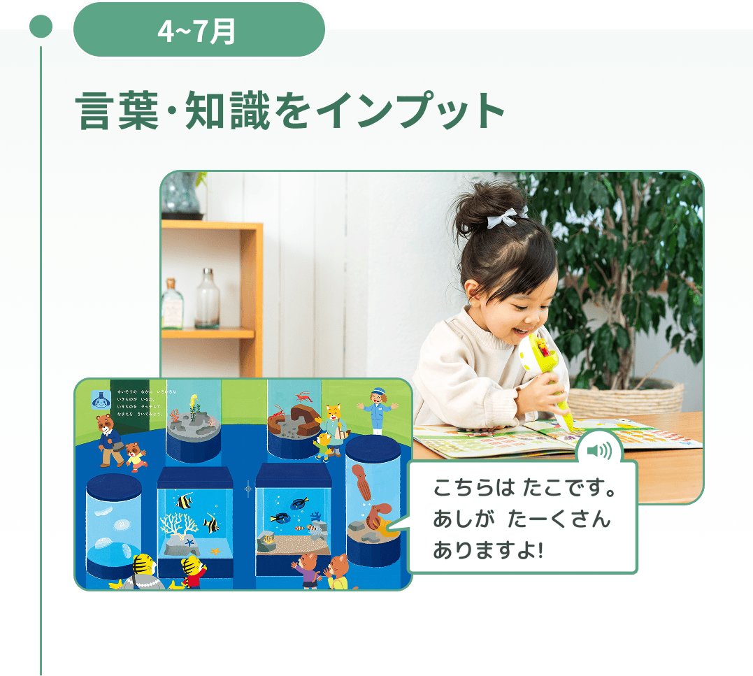 4~7月 言葉･知識をインプット
