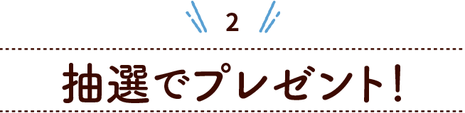 抽選でプレゼント