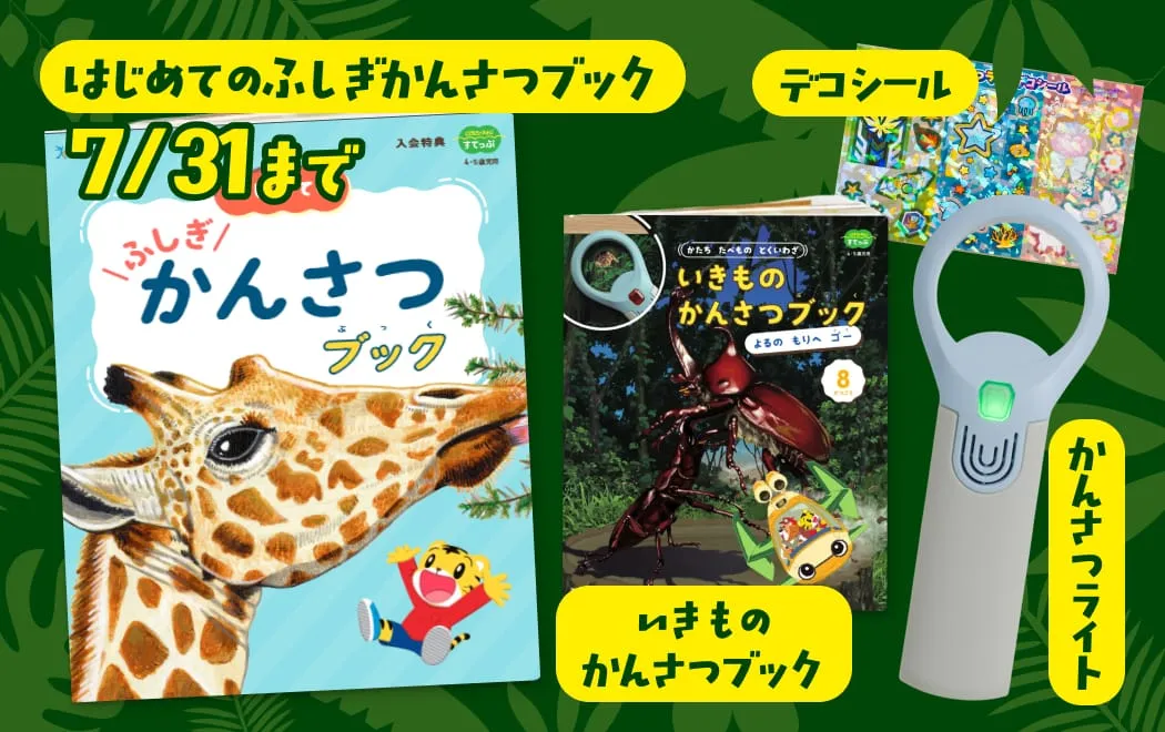 夏のワクワク観察セット