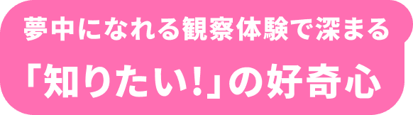夢中になれる観察体験で深まる 「知りたい！」の好奇心