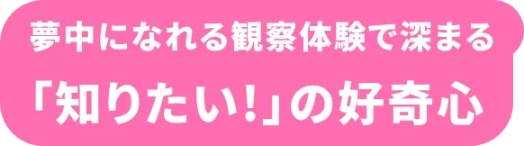 夢中になれる観察体験で深まる 「知りたい！」の好奇心